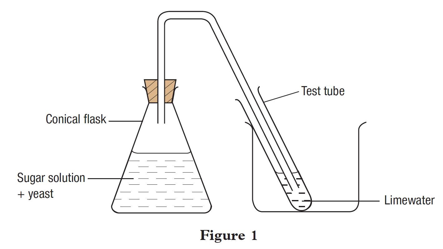 Summative Practice (Question 1 & 2) - Form 5 Science (KSSM