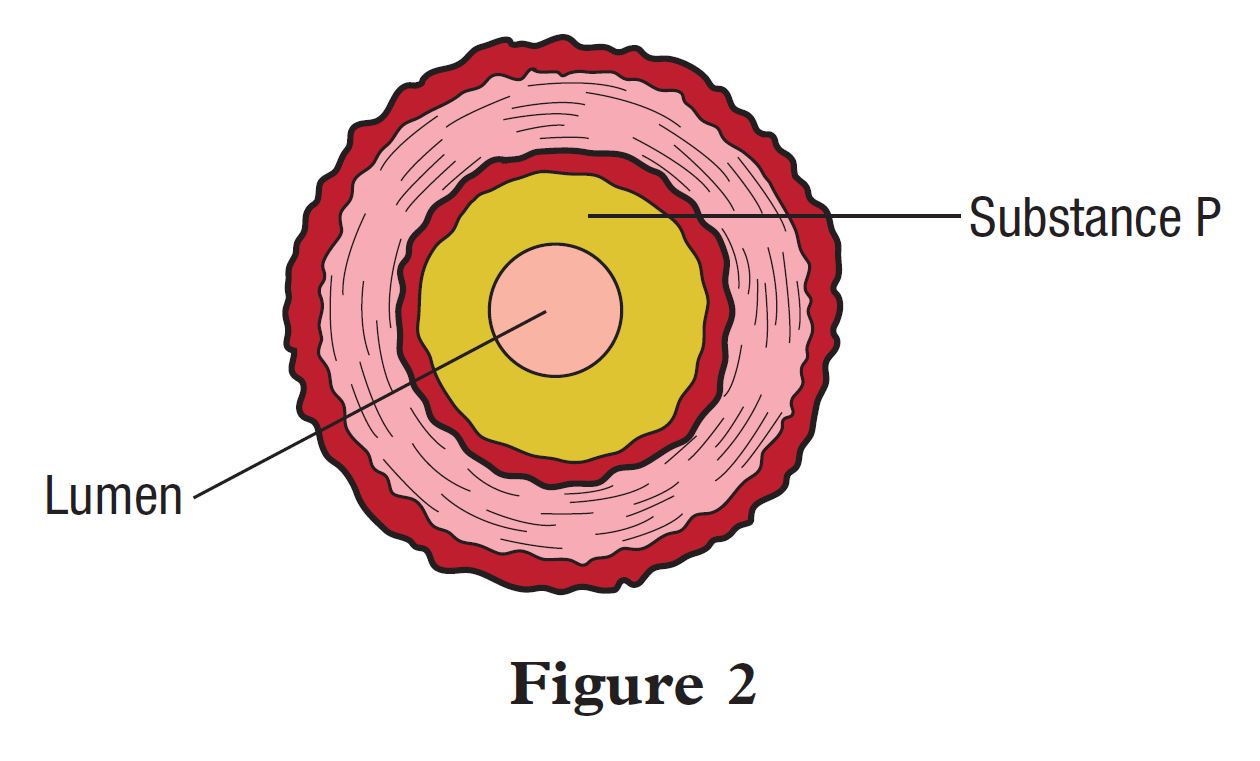 Summative Practice (Question 1 & 2) - Form 5 Science (KSSM