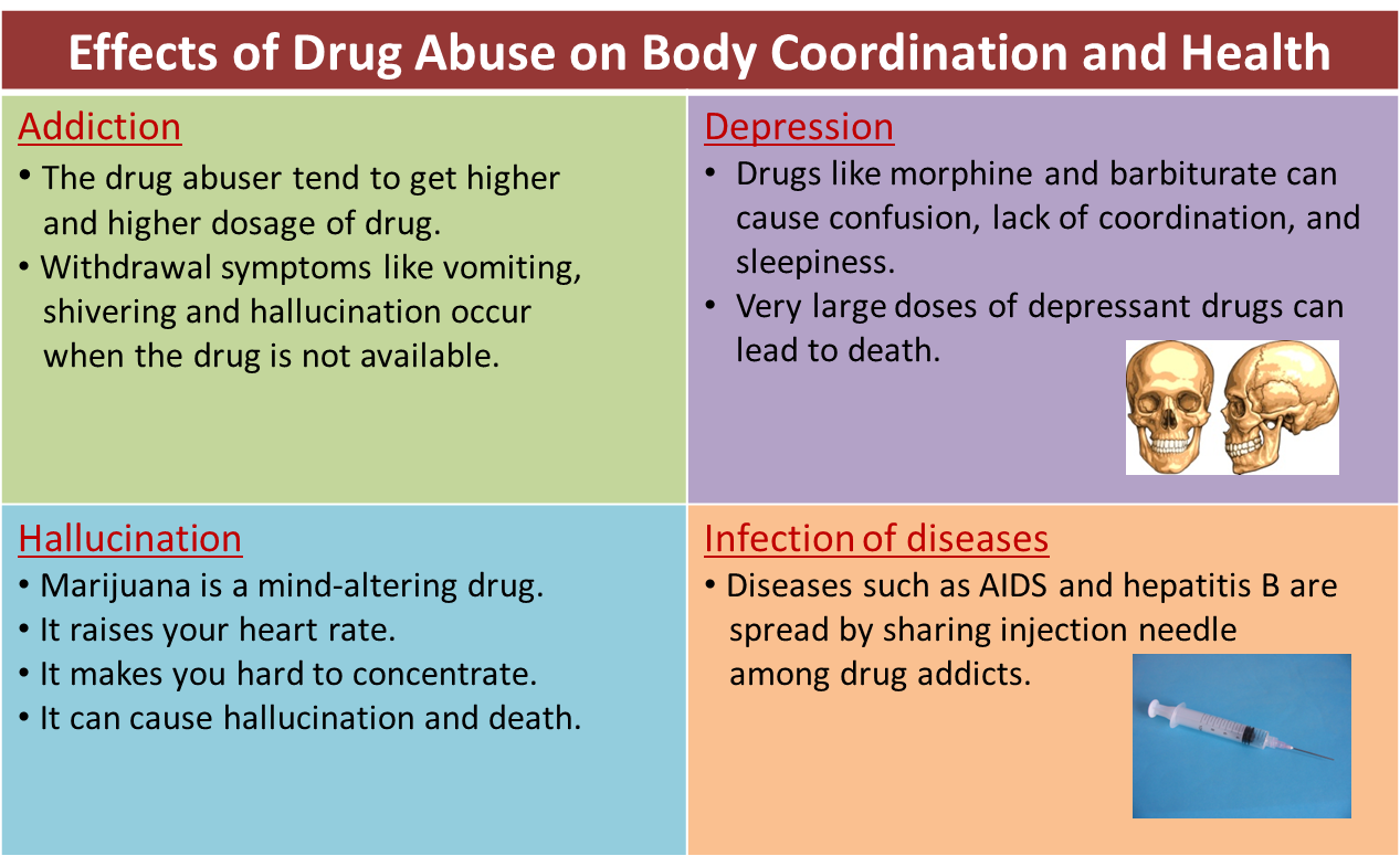 2.8 Effects of Drug Abuse on Health - SPM Science