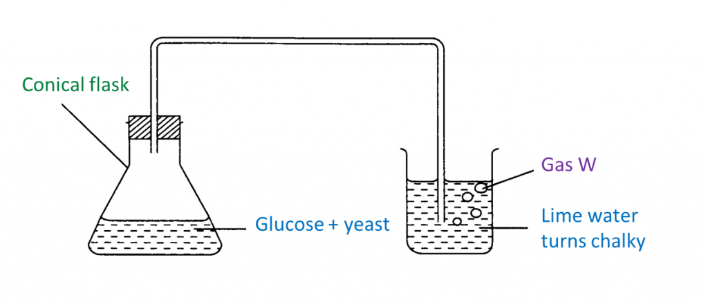 4.9.5 Methods of Purifying Substances (Structured Questions) - SPM Science